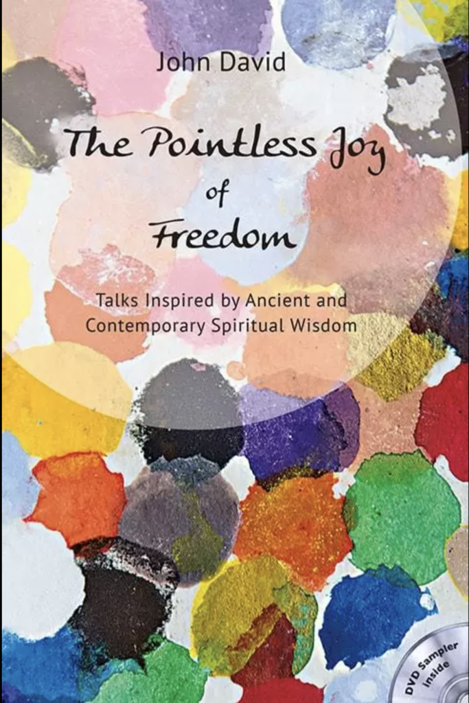 The Pointless Joy of Freedom Book Cover by John David