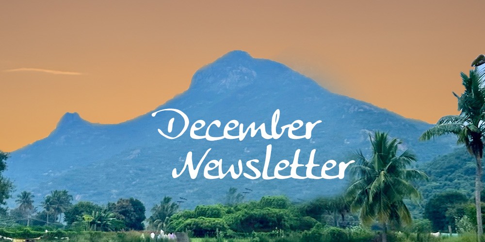 December Newsletter