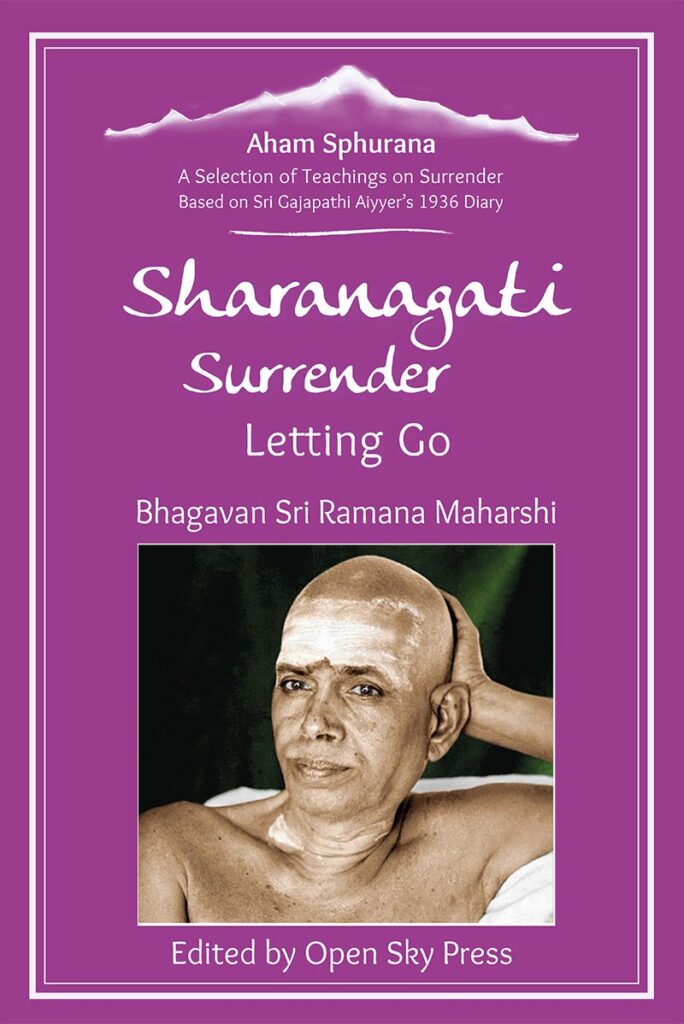 Sharanagati book cover